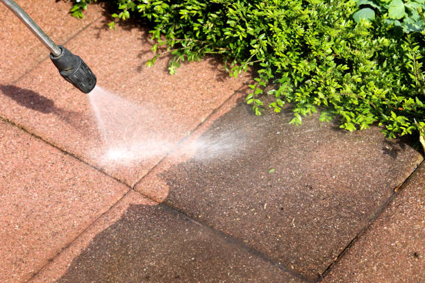 Best Exterior Home Cleaning  in Winter Park, FL